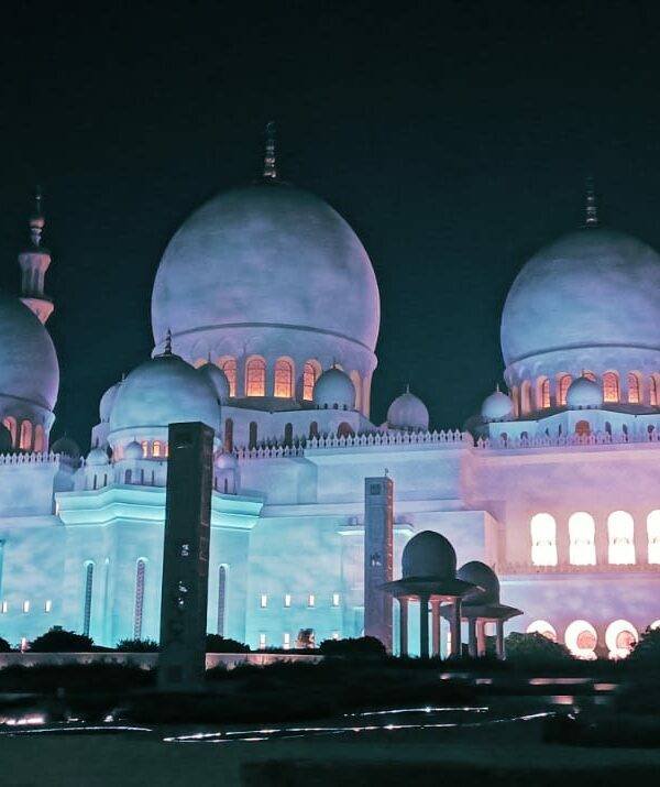 Dubai in Summer - Mosque Sheikh Zayed at night - Alturis tours and events